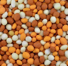 crunchy coated peanuts