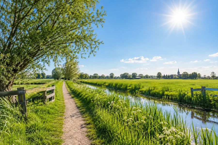 Sunshine over a green Dutch countryside path.